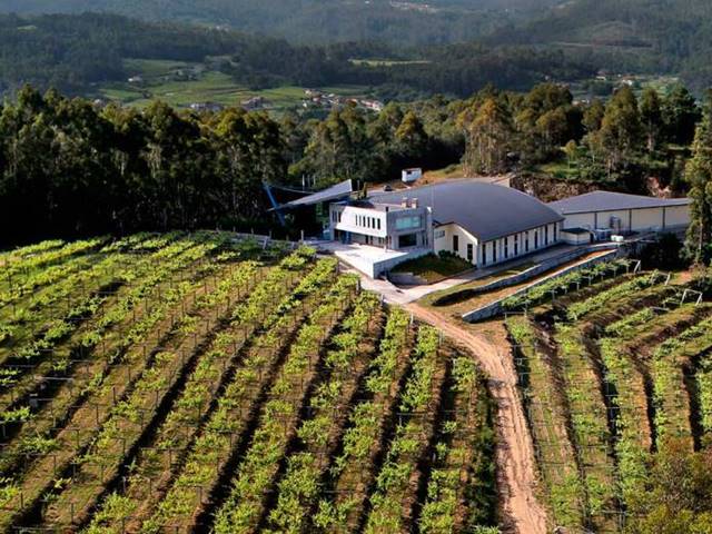 Bodega Mar de Frades