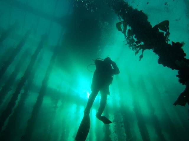 Buceo Buceo