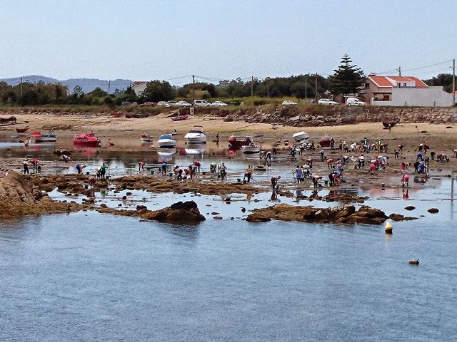 Turismo con las mariscadoras